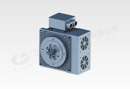 11KW 軸向磁通電機(jī)