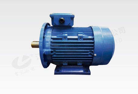 55KW 同步磁阻電機