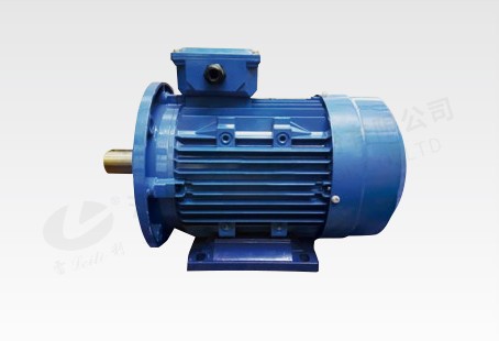 110KW 同步磁阻電機